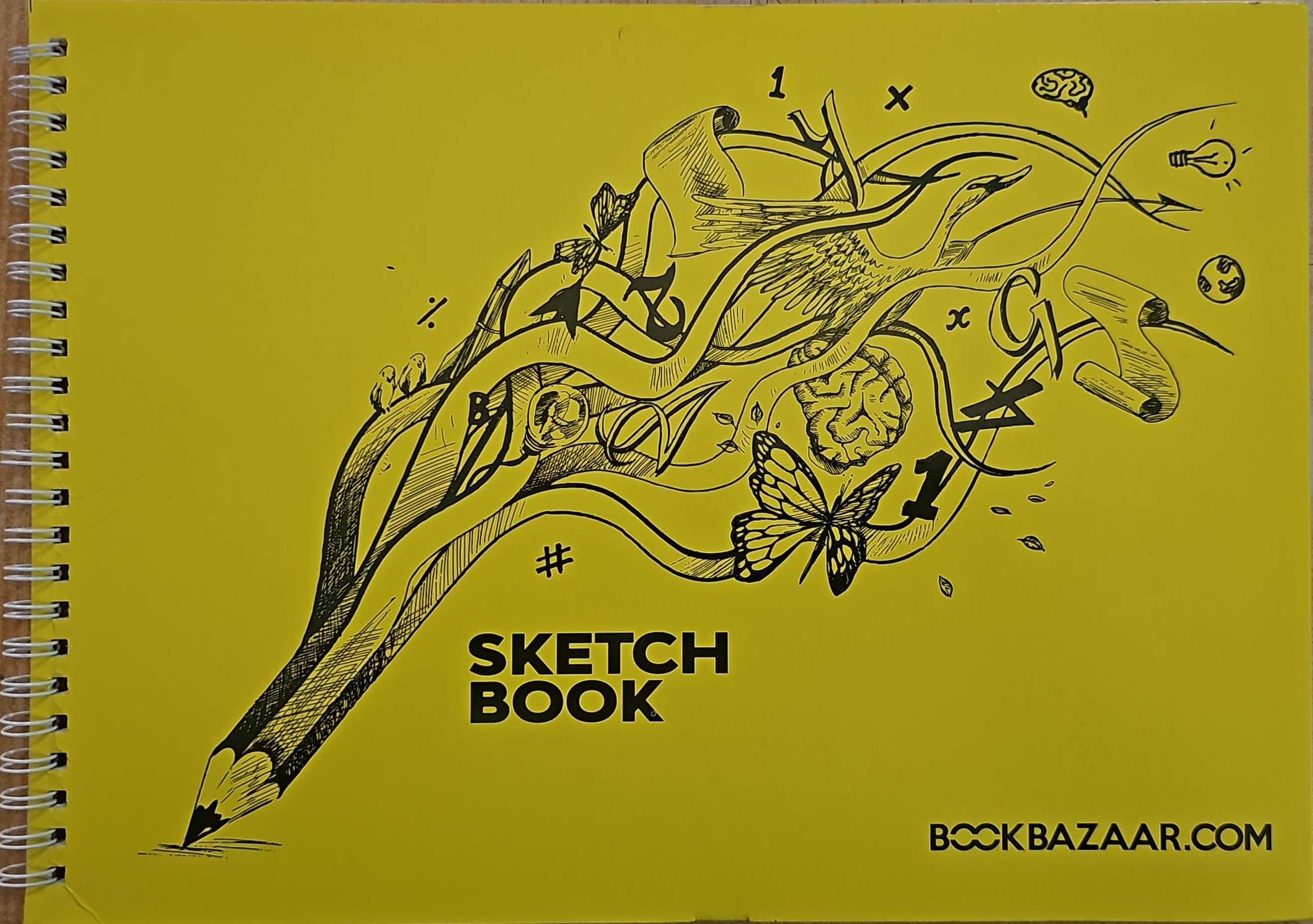 LuAnn Kessi: Sketch Book......Feathers